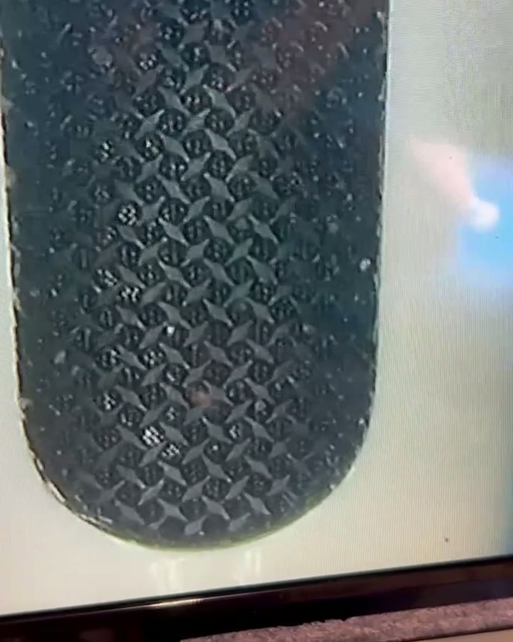 2. The mesh on the earbud.