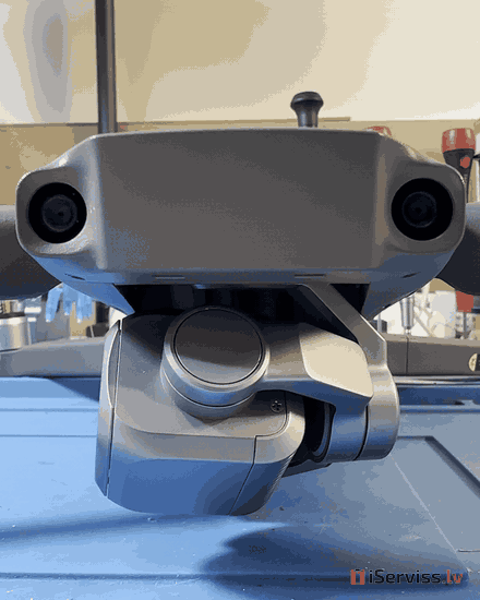 Bojāts gimbals